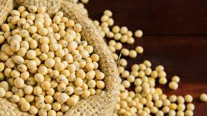 soyabean